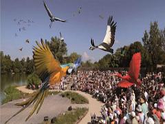 101PARC AUX OISEAUX DANS L AIN 2016 3_000053
